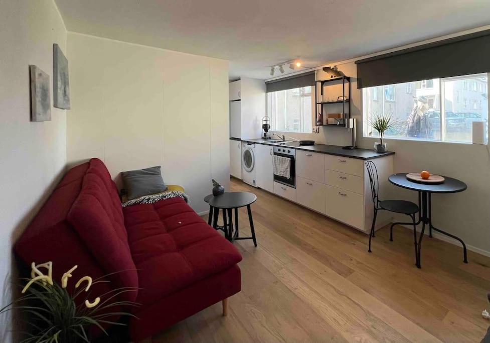 Studio Apartment Reykjavik City Center エクステリア 写真