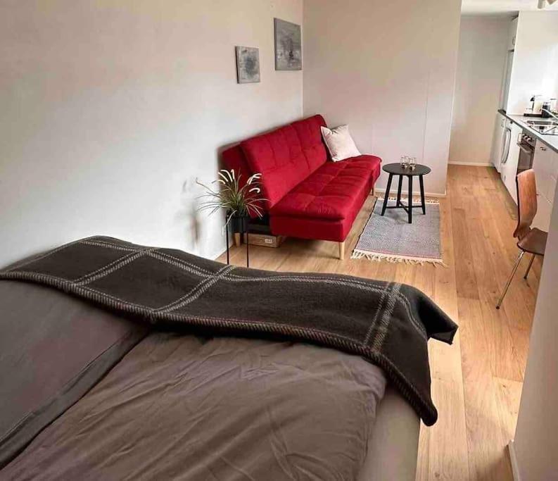 Studio Apartment Reykjavik City Center エクステリア 写真