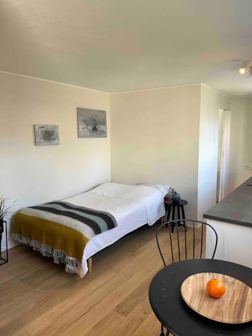 Studio Apartment Reykjavik City Center エクステリア 写真
