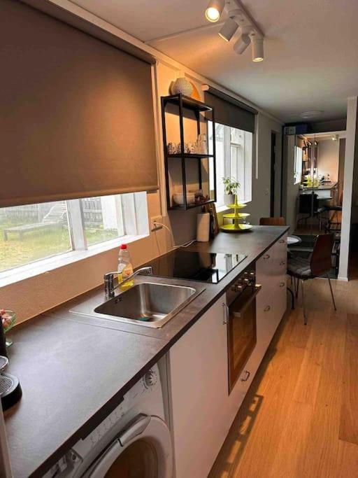 Studio Apartment Reykjavik City Center エクステリア 写真