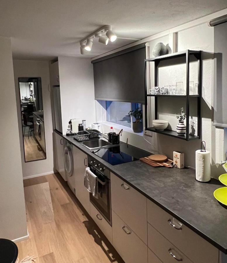Studio Apartment Reykjavik City Center エクステリア 写真